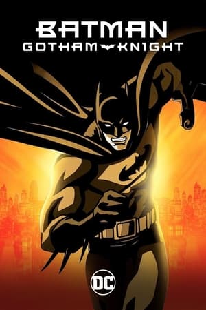 Image Batman - Gothamský rytíř