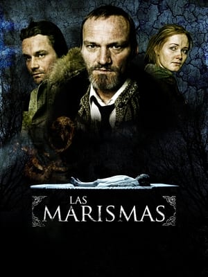 Poster Las marismas 2006