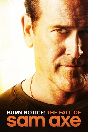 Poster Burn Notice: The Fall of Sam Axe 2011