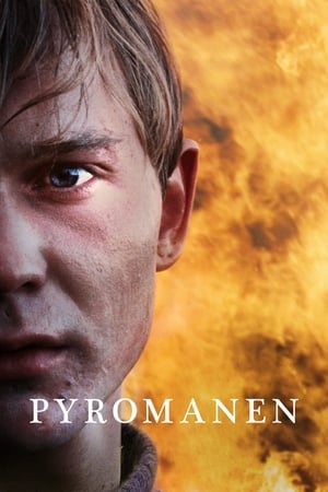 Poster Pyromanen 2016