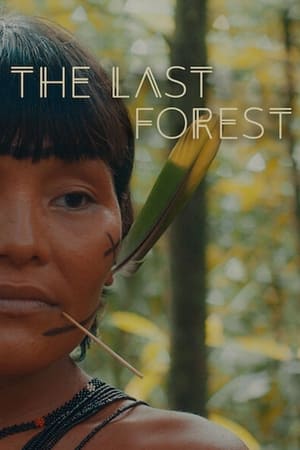 Image 아마존 최후의 숲
