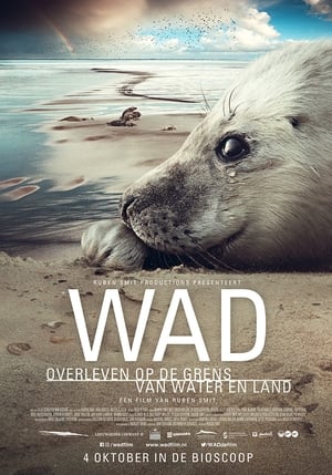 Poster Wad: overleven op de grens van water en land 2018
