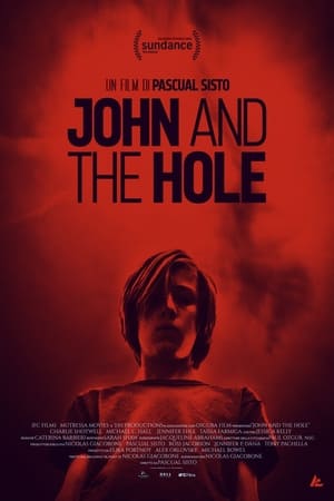 Poster John and the Hole 2021