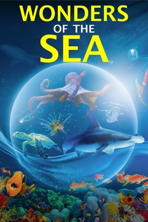 Poster Wonders of the Sea 3D 2017