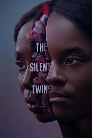 Poster 沉默的双胞胎 2022