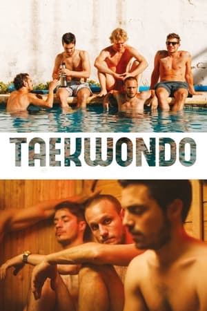 Poster Taekwondo 2016