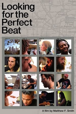 Poster Looking for the Perfect Beat 2014