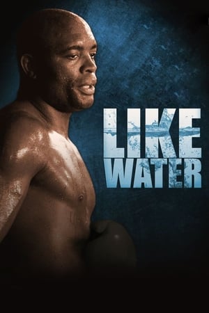 Poster Anderson Silva: Like Water 2011