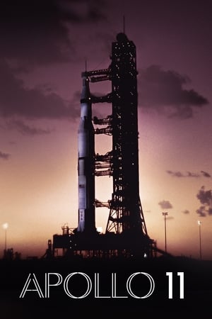 Poster Apollo 11 2019