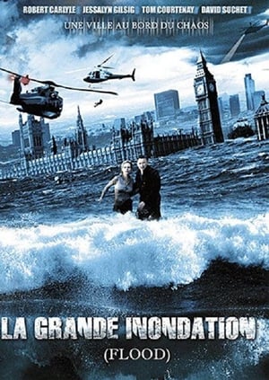 Poster La Grande Inondation 2007