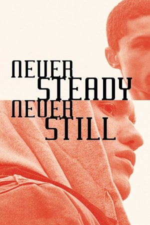 Image Never Steady, Never Still