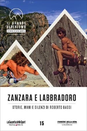 Poster Zanzara e Labbradoro - Storie Mani e Silenzi di Roberto Bassi 2014