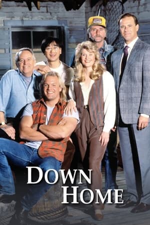 Poster Down Home Сезон 1 1990