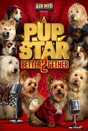 Poster Pup Star 2 2017