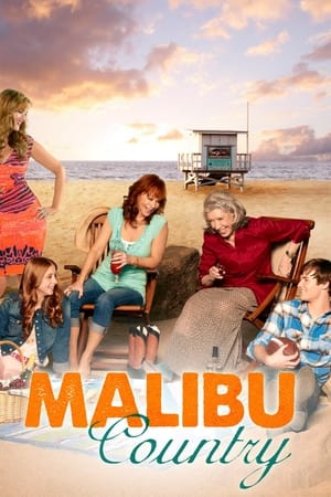 Poster Malibu Country 2012