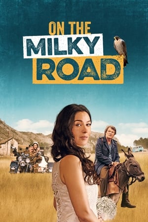 Poster On the Milky Road 2016