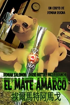Poster El mate amargo 2013