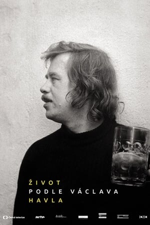 Poster Život podle Václava Havla 2014
