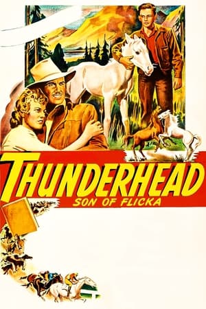 Poster Thunderhead - Son of Flicka 1945