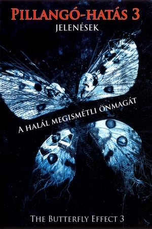 Poster Pillangó-hatás 3 - Jelenések 2009
