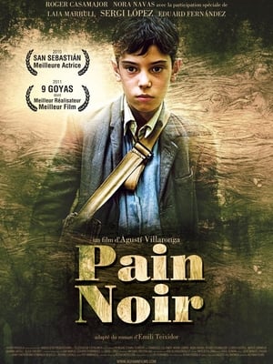 Poster Pain Noir 2010