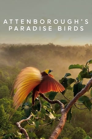 Poster Attenborough paradicsommadarai 2015