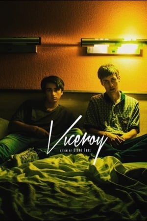 Poster Viceroy 2017