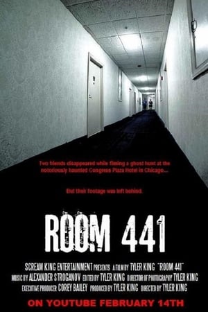 Image Room 441