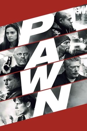 Poster Pawn 2013