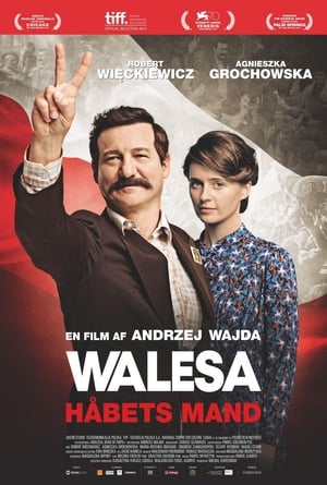 Poster Walesa - Håbets Mand 2013
