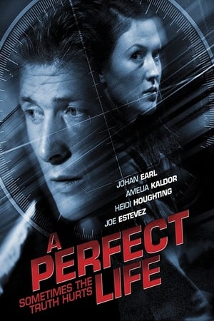 Poster A Perfect Life 2011