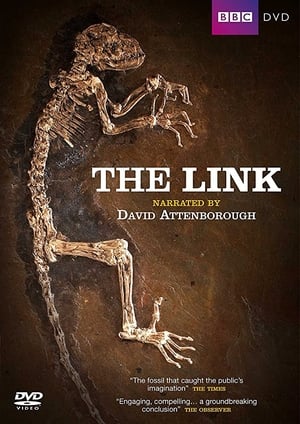 Image Uncovering Our Earliest Ancestor: The Link