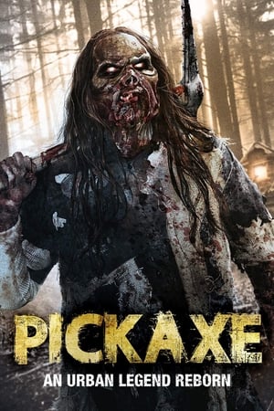 Poster Pickaxe 2014