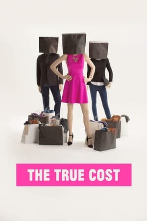 Poster The True Cost 2015