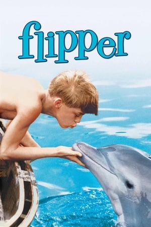Poster Flipper 1963