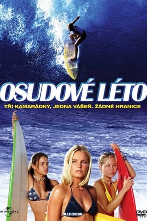 Poster Osudové léto 2002