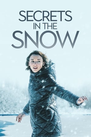 Poster Tajemství ve sněhu 2020