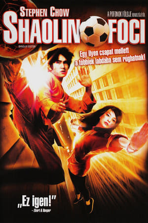 Poster Shaolin foci 2001