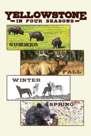 Poster Yellowstone in Four Seasons 2017