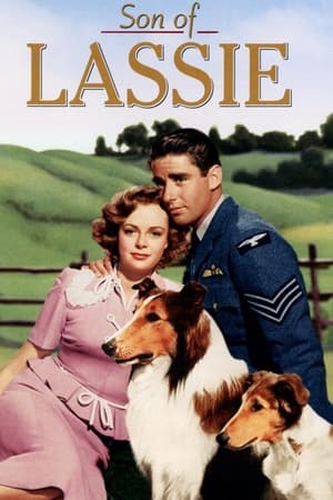 Poster Son of Lassie 1945