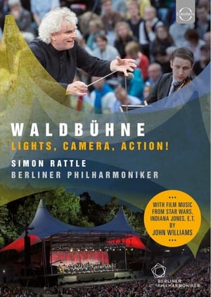 Image Waldbühne 2015: Lights, Camera, Action!