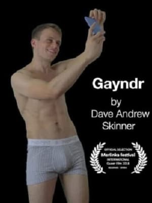 Poster Gayndr II 2018