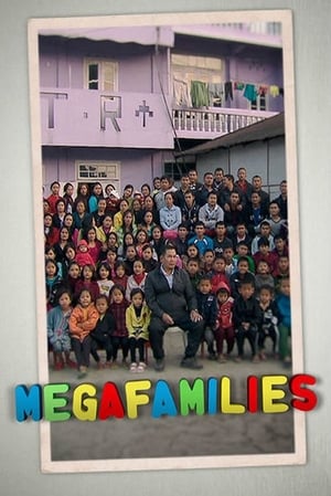 Poster Megafamilies 2011