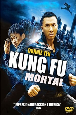 Poster Kung Fu Mortal 2014