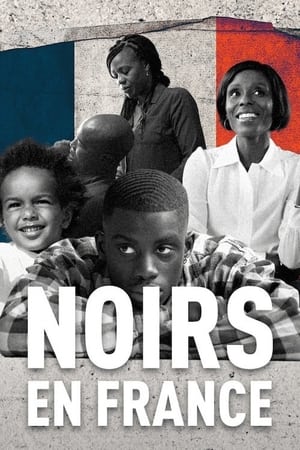 Poster Noirs en France 2022