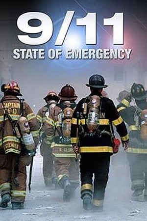 Poster 9/11 State of Emergency 2010