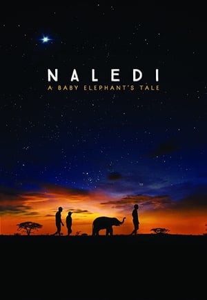 Poster Naledi: A Baby Elephant's Tale 2016