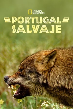 Image Portugal Salvaje