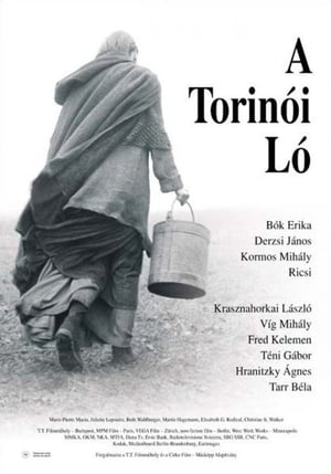 Poster 토리노의 말 2011