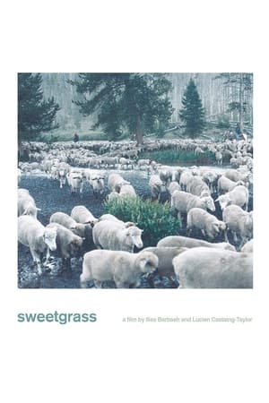 Poster Sweetgrass 2009